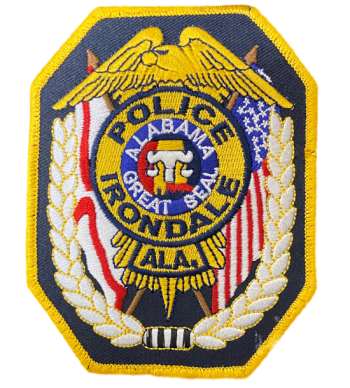 Strategies & Tactics of Patrol Stops Instructor, Irondale Police Depart- STI2025-37