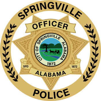 Strategies & Tactics of Patrol Stops Instructor, Springville Police Department- STI2024-28